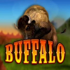 Play the Buffalo Bingo slot by MGA Games on Best Bingo